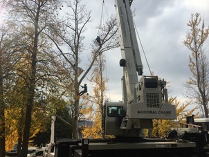 Kruljac Tree Services Pittsburgh crane removal training